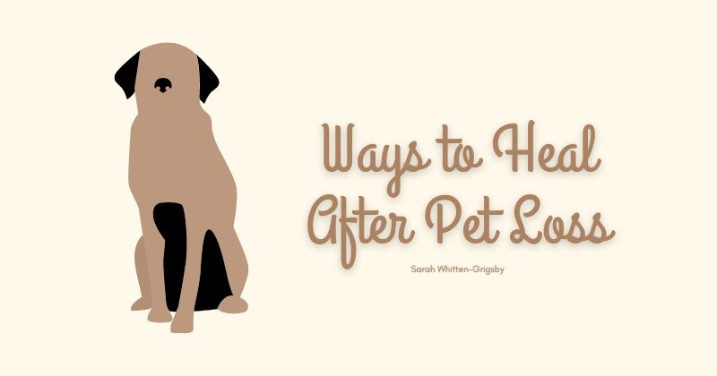 Pet Loss Recovery